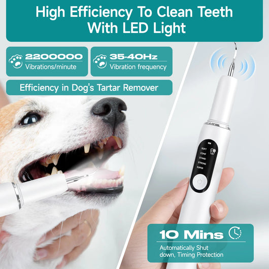 PawLuxe Dental Tool